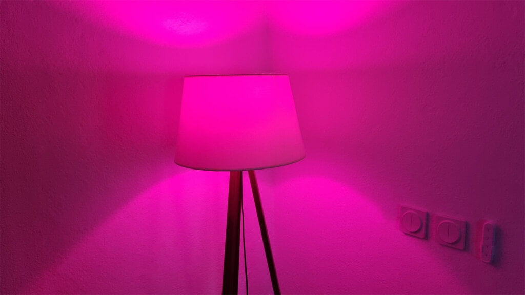 Zemismart Matter Smart Bulb ZML2 Pink